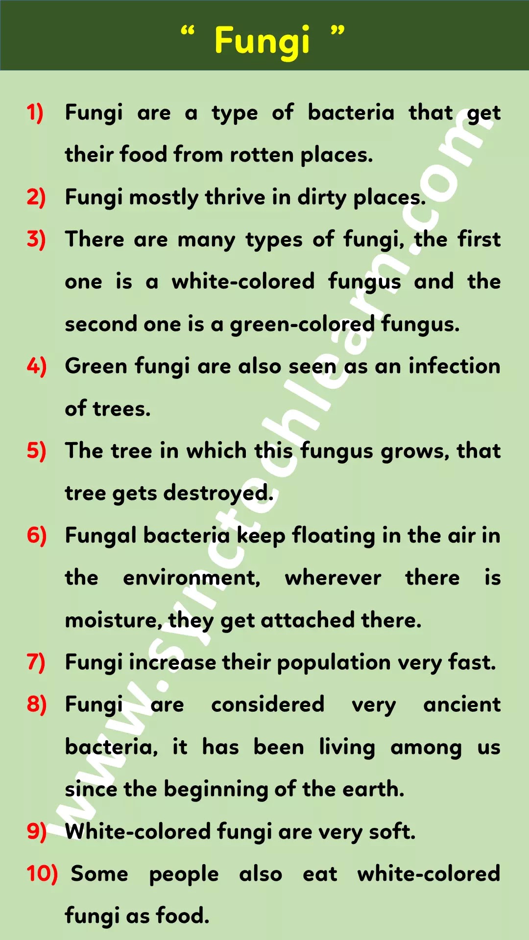 10 lines on Fungi in English