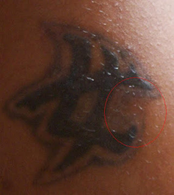 This area circled is the only part that noticeably faded. Upon peeling some This area circled is the only part that noticeably faded. Upon peeling some