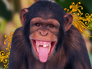 Monkey Wallpapers