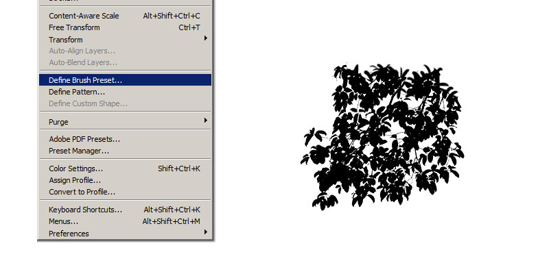 Creating Photoshop Tree Brush From Photo