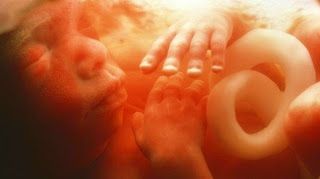 Le génie génétique des embryons est un devoir éthique, Selon les  chercheurs
