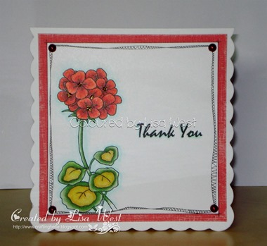 Geranium Flower (5)