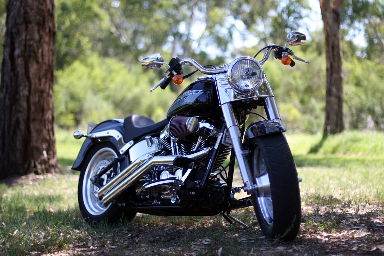  Harley  Davidson  Latest FATBOY  model MyClipta