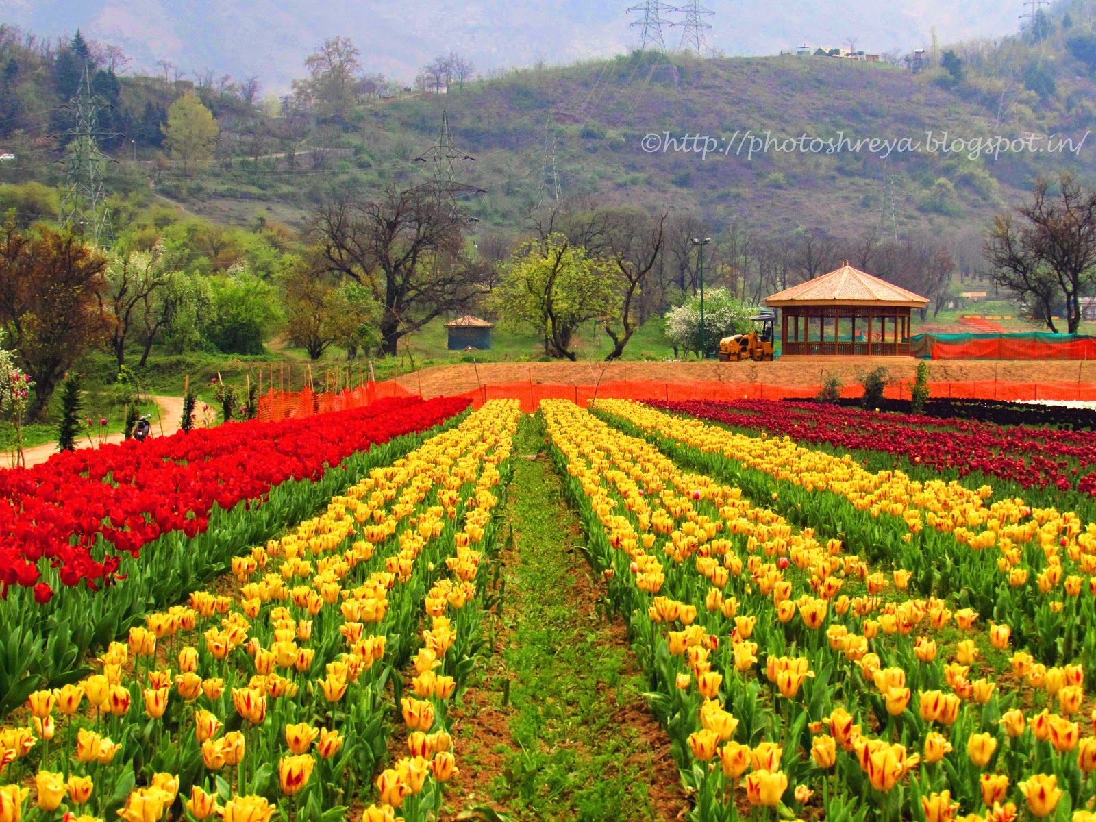  Gambar  12 Foto Taman  Bunga  Indah  Cantik Dunia Inilah 