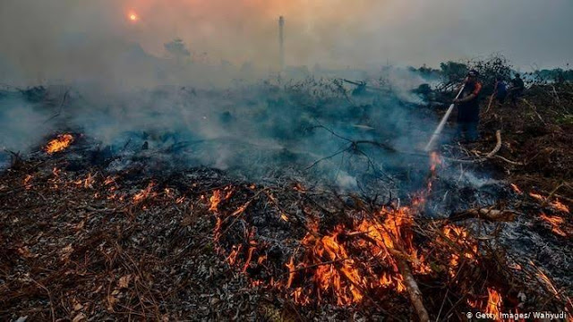 Bencana alam kebakaran hutan 