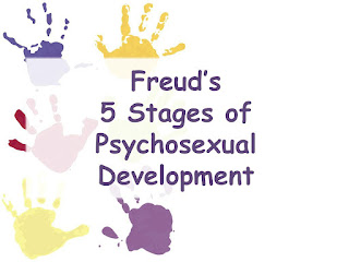 Psycho-Sexual Development Theory CTET Questions