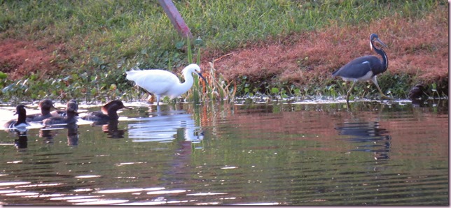 followIMG_5893