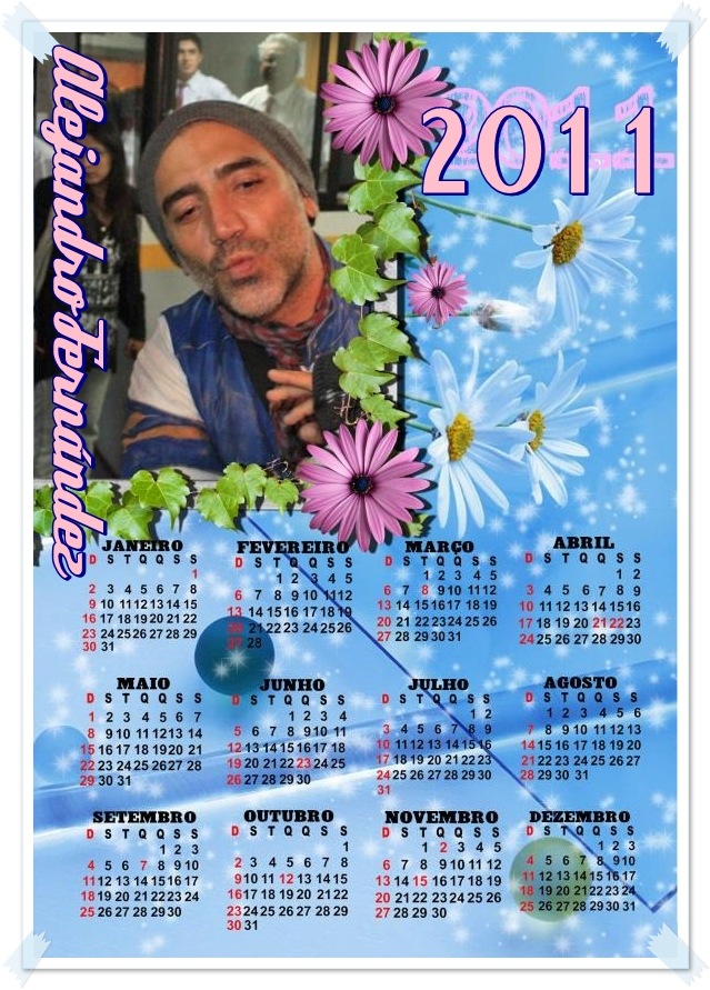 AFCalendar2011
