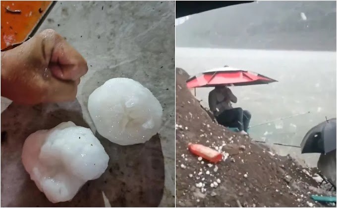 Gigantescos granizos azotan a Guangdong, China ¡Edificios dañados, cultivos destrozados y la trágica pérdida de vidas animales!