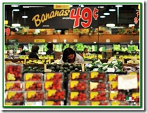 VA17_BGV_SX_WEGMANS_03c