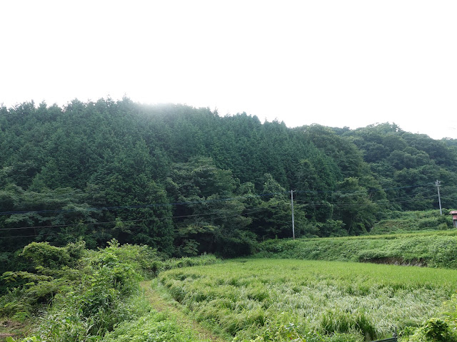 鳥取県西伯郡南部町東上のこもれび広場に向かいます