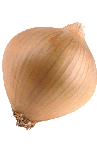 Cebolla