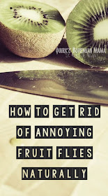 Natural, non-toxic solution for getting rid of fruit flies. How to Get Rid of Annoying Fruit Flies Naturally.
