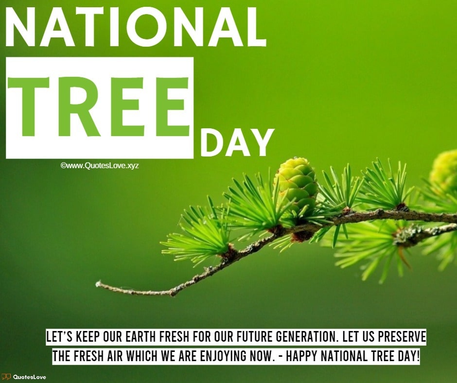 National Tree Day Quotes, Sayings, Wishes, Greetings, Messages, Images, Pictures, Poster