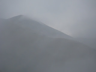Misty Mountain Freedom