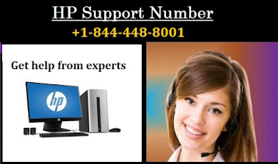 HP support phone number