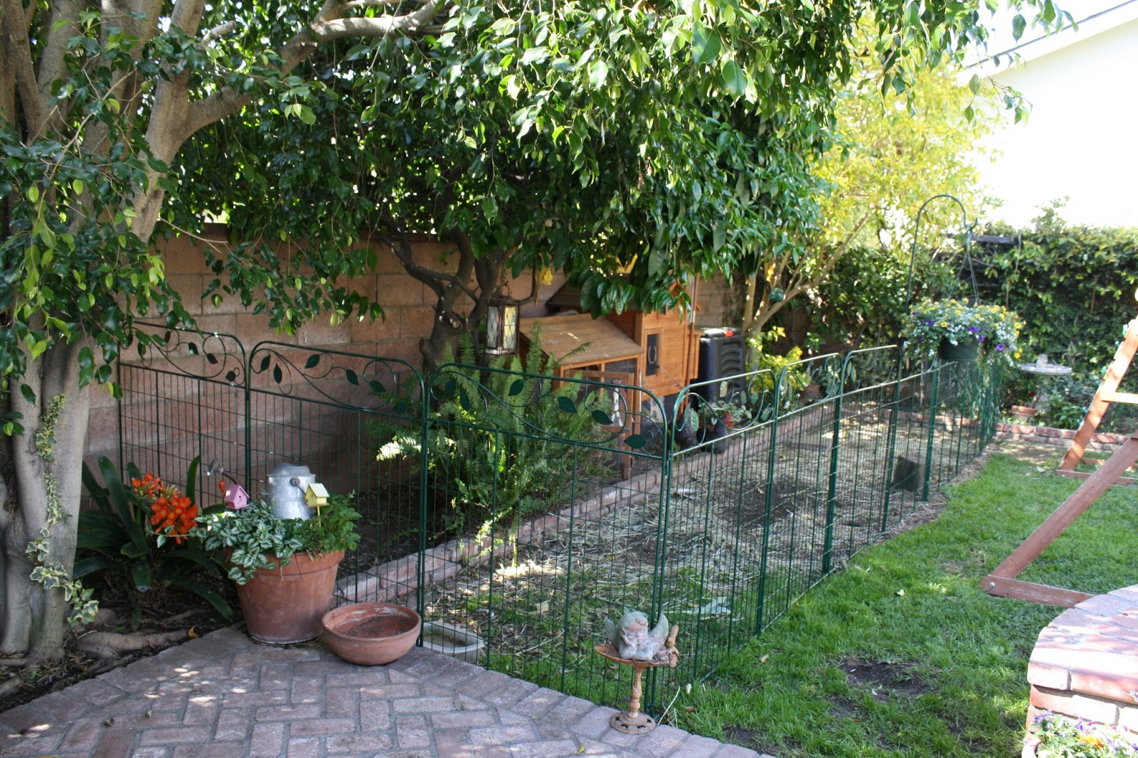 Sunny Simple Life: The New Chicken Fence