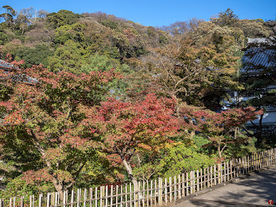 Autumn leaves: Engaku-ji