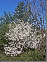 16.04.2007r. 026