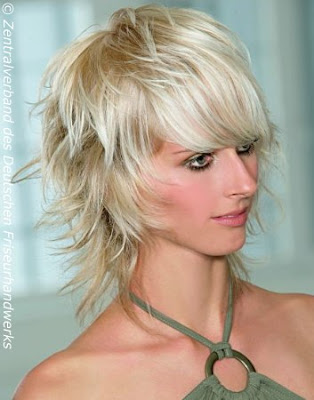 Girl Shag Layered Hairstyle Shaggy Layered Hairstyle