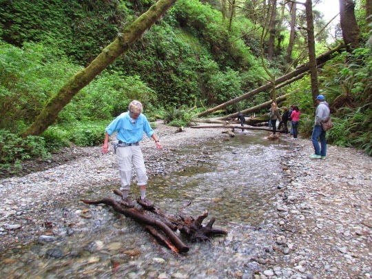 Wading%252526ScramblingThroughFernCanyon-2-2014-04-6-19-04.jpg