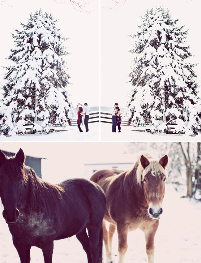 winter wedding horses