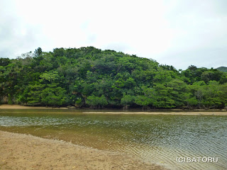 石垣島の吹通川とマングローブ 風景写真（野底-4h）
