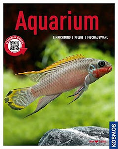 Aquarium: Einrichtung, Pflege, Fischauswahl (Mein Tier)