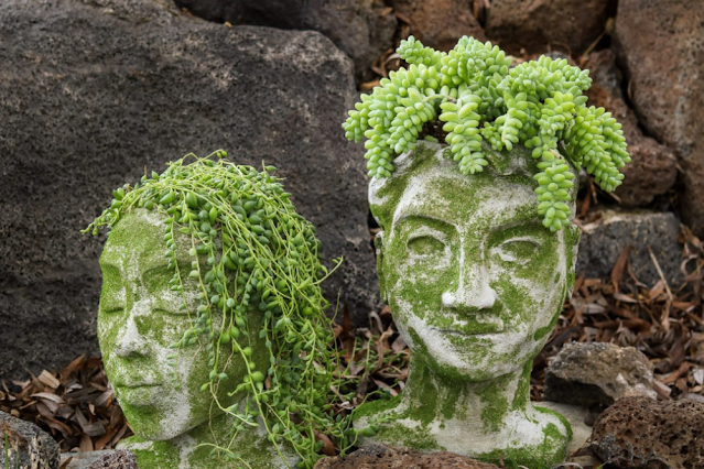 How To Make Cement Head Planter