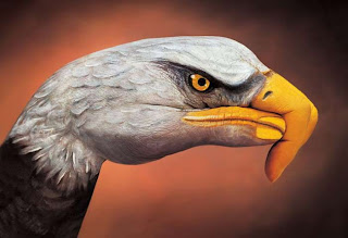 Eagle (Hand Art)