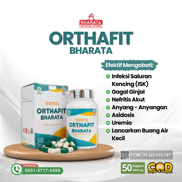Orthafit Bharata 1