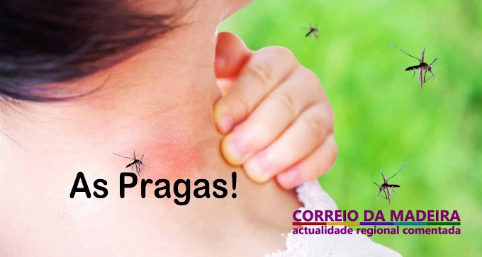 As pragas