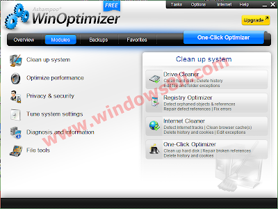 WinOptimizer