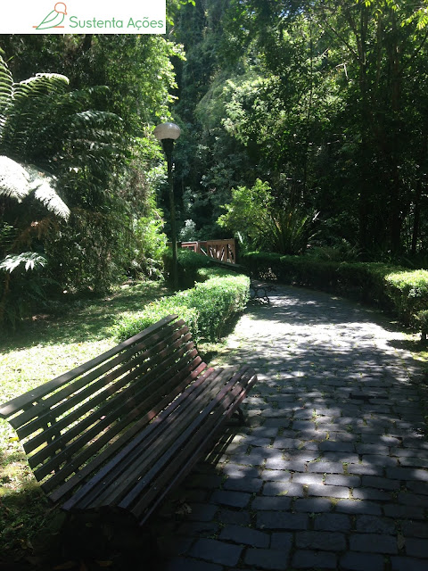 Caminho que leva ao lago no Bosque Alemão