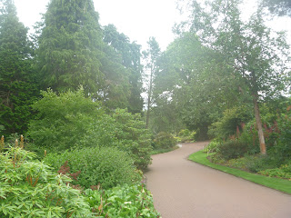 A path winding between trees and shrubs