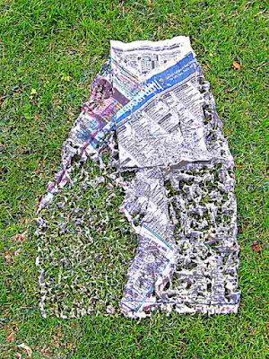 Newspaper on the grass after heavy rain (c) David Ocker