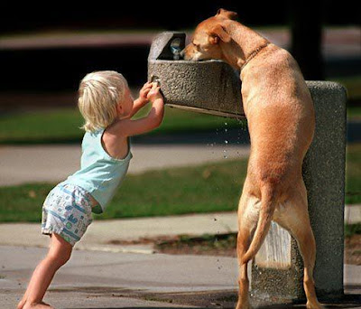 child helps dog get a drink at water fountain