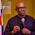 I prefer a younger, competent running mate – Peter Obi