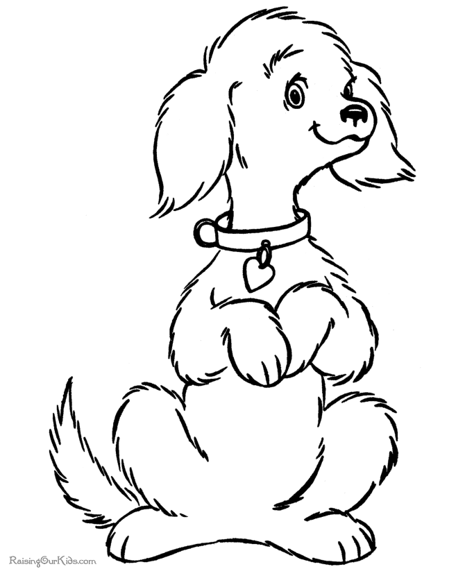 Free Coloring Pages Puppy 7