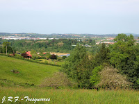 Llanera en la bajada a La Ponte