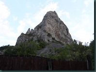 SAM_4203