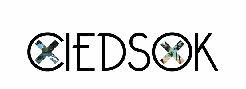 !C I E D S O K