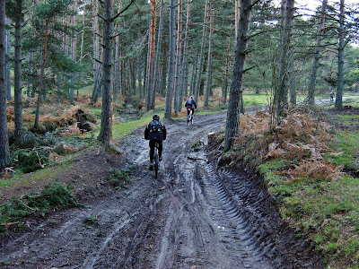 Rutas MTB - Alfonsoyamigos