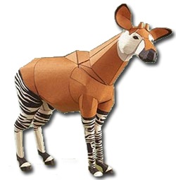 Okapi