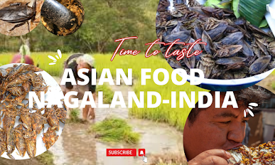"The Incredible Nutritional Value of Giant Water Bugs You Never Knew About"