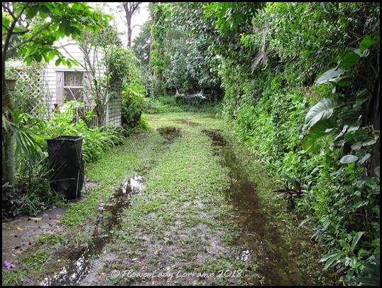 06-10-driveway