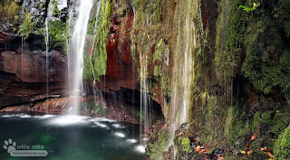 Foto Pemandangan yang menyejukkan Mata