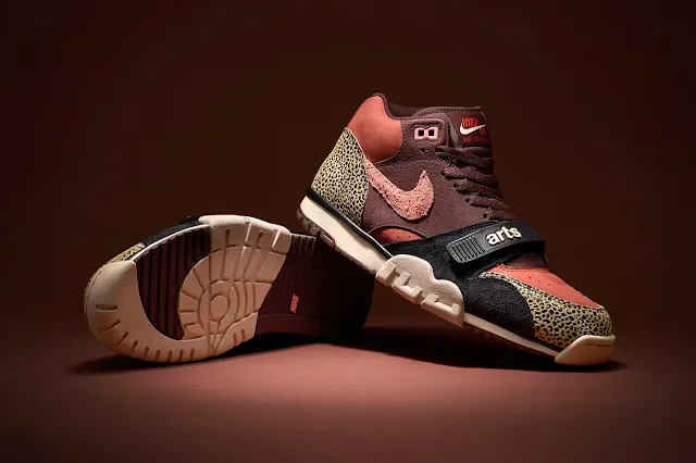 Arts-Rec and Nike SB Team Up on Colorful Air Trainer 1