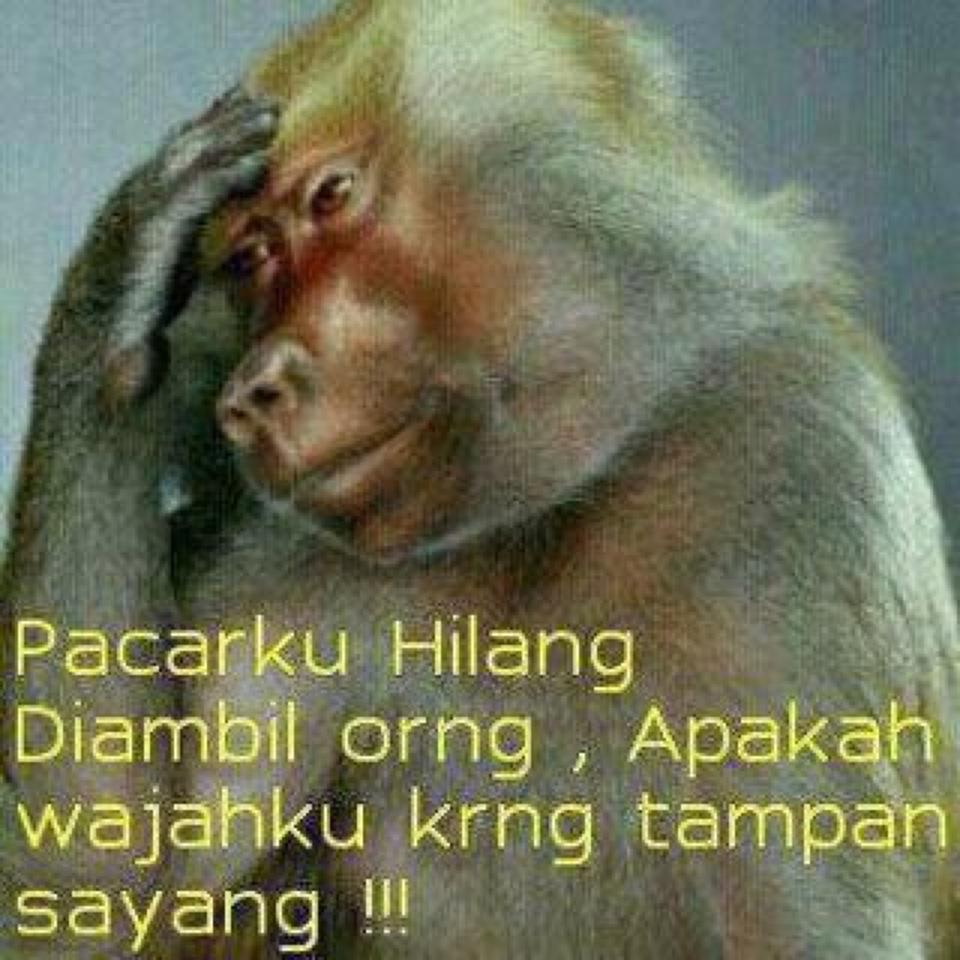 Foto Foto Lucu Orang Galau Dp Bbm Lucu