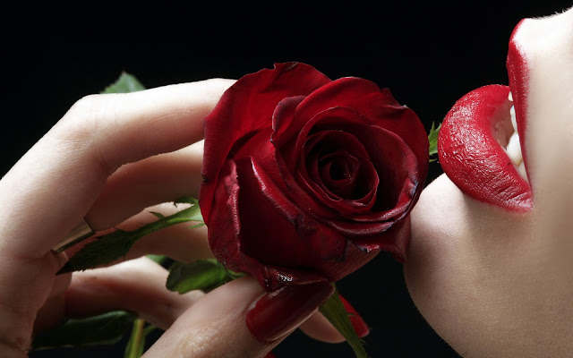 Red Rose-Red Lips Flower Wallpaper